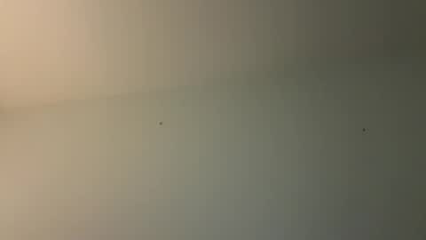 kovapoika online show from October 23, 11:01 am