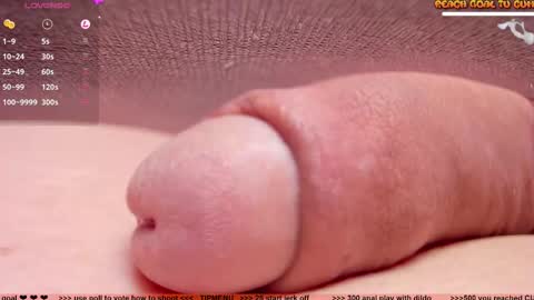 Petra online show from February 11, 7:38 pm