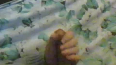 kren565656 online show from December 10, 11:32 am