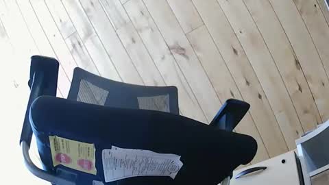 krinkle420 online show from April 24, 11:45 am