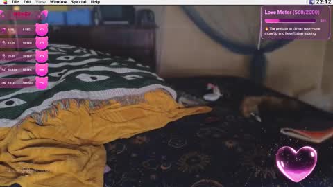 Krypto hethey online show from January 15, 9:12 pm