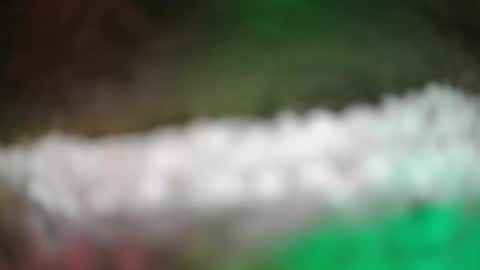 kvicali online show from March 10, 3:22 am