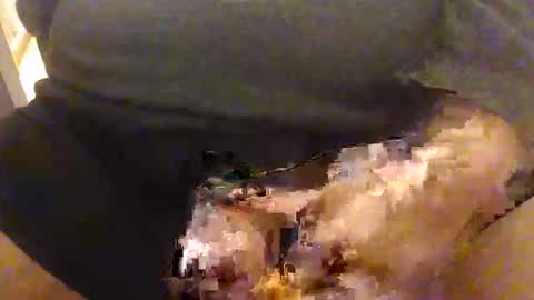 l0ngjohnsilv3er online show from October 16, 4:50 pm