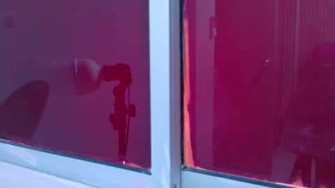 Laura online show from November 25, 12:04 pm