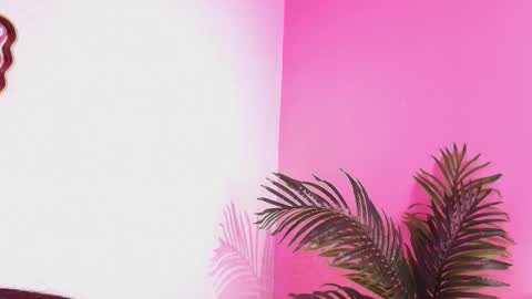 LANA online show from December 15, 3:35 am