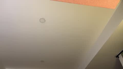 Hi -  online show from September 16, 4:04 am