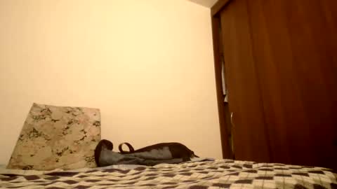 DEXTER online show from October 18, 11:53 pm