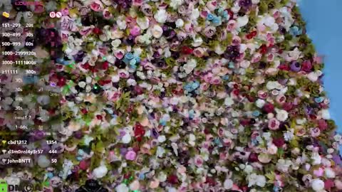 Laura online show from November 26, 4:37 pm