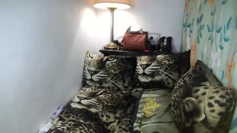 Belle online show from February 8, 10:08 pm