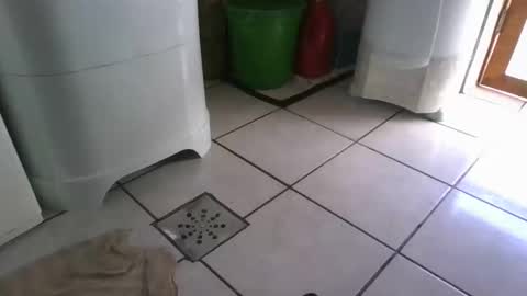 kelly online show from March 7, 9:27 pm