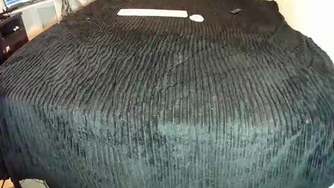 Snapshot of leatherman31 chatting on October 25, 1:17 am leatherman31 online show from October 25, 1:17 am