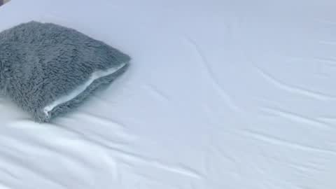 LUCY online show from November 28, 9:00 pm