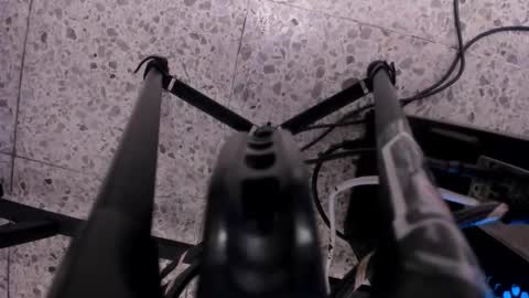 Leo  online show from November 11, 5:20 am