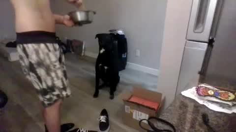 letsdoit206 online show from January 10, 2:25 am