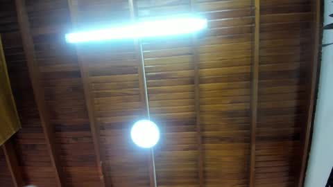 LevySteven online show from November 14, 4:03 am