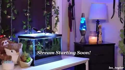 Lex online show from February 17, 4:06 pm