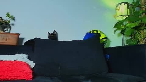 Lian Oconner online show from October 8, 1:24 am