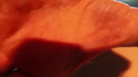 Lightworker online show from January 16, 2:19 am