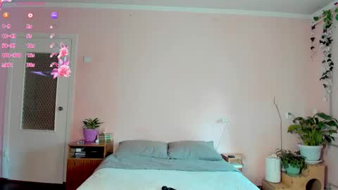 LILY online show from September 21, 10:30 am