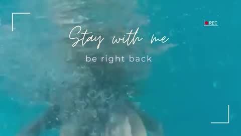 Lily online show from November 12, 7:00 am