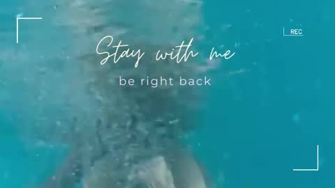 Lily online show from November 4, 7:10 am