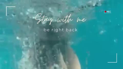 Lily online show from September 28, 7:50 am