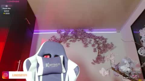 LINDSEYFERRER online show from November 21, 12:19 am