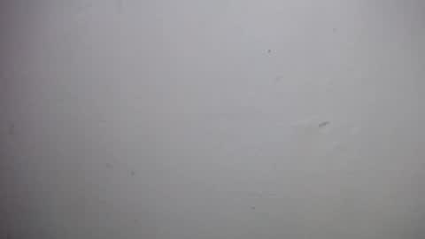 lisa_branch online show from December 18, 10:54 am