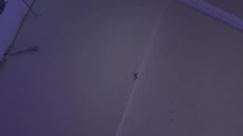 cristin online show from December 25, 11:00 am