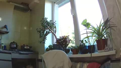 littlehappines online show from September 11, 1:23 pm