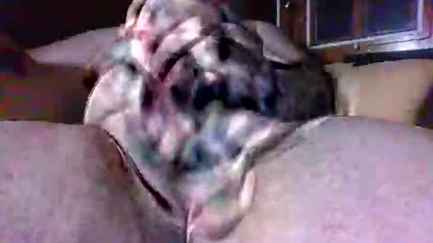 litwinpaweel online show from February 19, 8:19 pm