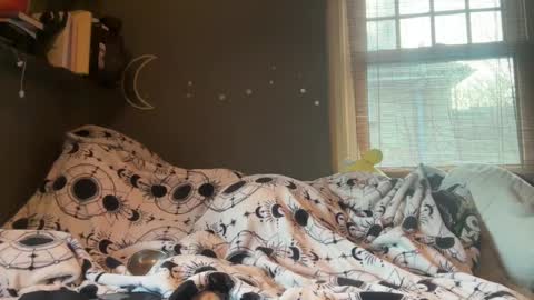 Snapshot of lizzyylovesick chatting on March 5, 4:57 pm lizzybunny online show from March 5, 4:57 pm