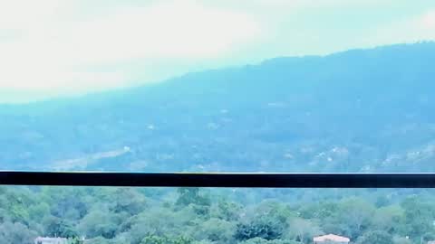 Lynx Mist online show from January 13, 9:55 pm