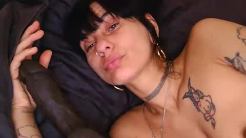 Lola Midnight online show from April 11, 7:45 am