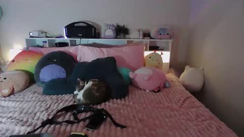 lolaa555 online show from April 8, 6:38 am