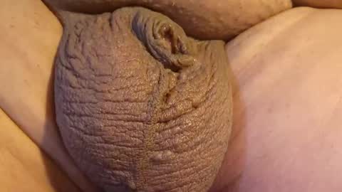 2791 3D online show from April 26, 10:40 pm