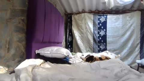 Maya online show from January 14, 7:55 pm