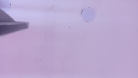 L O V E  online show from April 21, 11:28 am