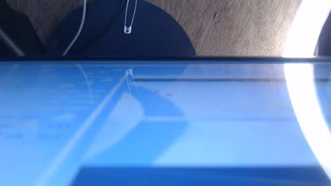 Scarlet online show from March 23, 11:15 am