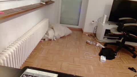 lu25humiliation online show from January 10, 4:51 pm