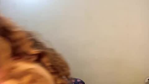 Snapshot of luana363 chatting on September 9, 8:58 am luana363 online show from September 9, 8:58 am