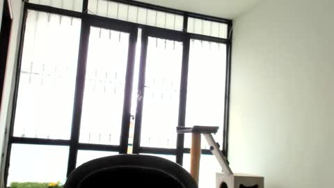 luara__01__lecat_1 online show from November 27, 4:03 pm