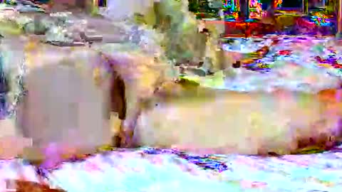 lucky134u online show from April 20, 2:31 pm