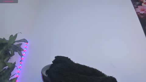 luciana online show from November 6, 7:22 am