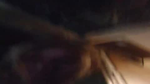 Lucy Vybes and Go-Gert online show from March 4, 7:08 am