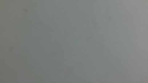 luna253951 online show from June 1, 12:39 pm