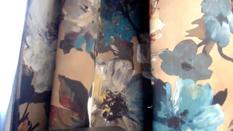 lunaafox online show from January 3, 12:29 pm