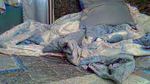 lunalove22_ online show from March 22, 11:36 am