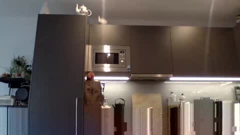 Snapshot of lupine_666 chatting on December 12, 10:56 am Lupine online show from December 12, 10:56 am