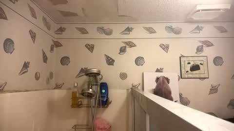 luveatinpussy8 online show from April 7, 8:16 am